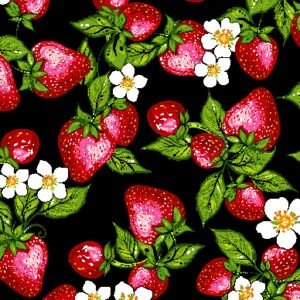 Strawberry Dreamcatcher - Allover Tossed - Black