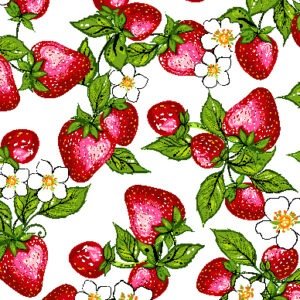 Strawberry Dreamcatcher - Allover Tossed - White