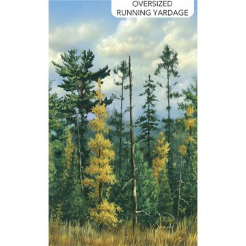 Northwood Naturescapes - Border - Green Multi