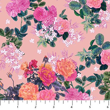 Rosa - Rosa - Rose