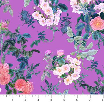Rosa - Rose Blossoms - Purple
