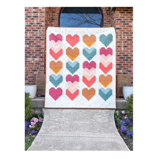 Cozy Quilts for the Modern Home Book