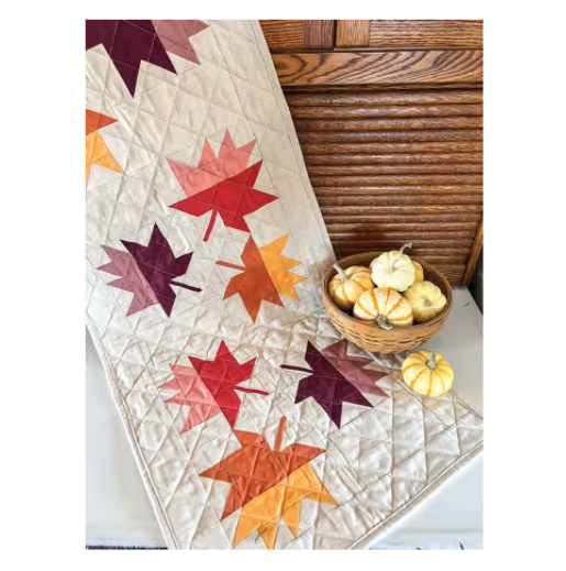 Cozy Quilts for the Modern Home Book