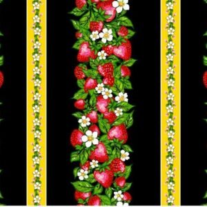 Strawberry Dreamcatcher - Stripe - Black