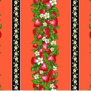 Strawberry Dreamcatcher - Stripe - Coral