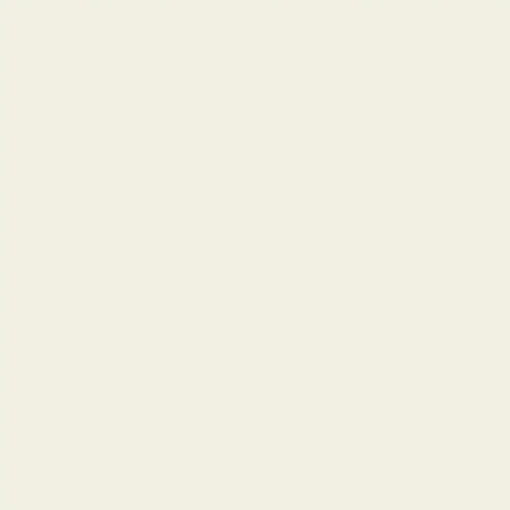 Solid Flannel Fabric - Salt