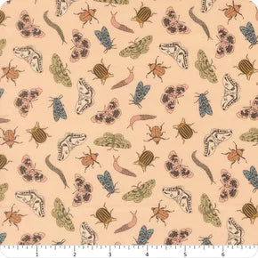 Petalush - Entomology - Ballerina