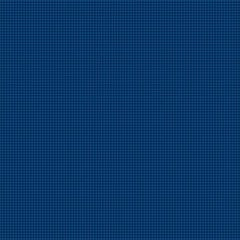 Tiny Check - Navy
